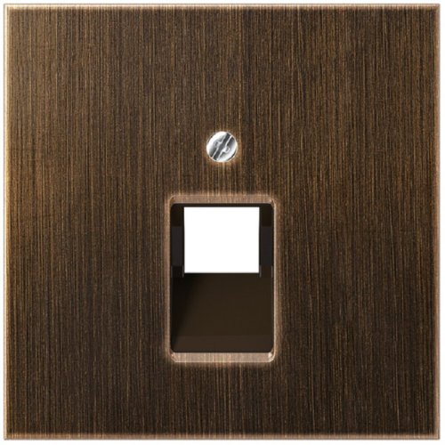 Лицевая панель Jung LS990 metal для 1-м. розетки RJ11/RJ45 античная латунь фото Лицевая панель Jung LS990 metal для 1-м. розетки RJ11/RJ45 античная латунь картинка